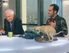 Köpek canlı yayının içine etti (video)