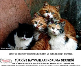 Fotoğrafçılar THKD için bir arada